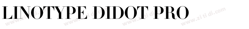Linotype Didot Pro下字体转换 Linotype Didot Pro下字体转换